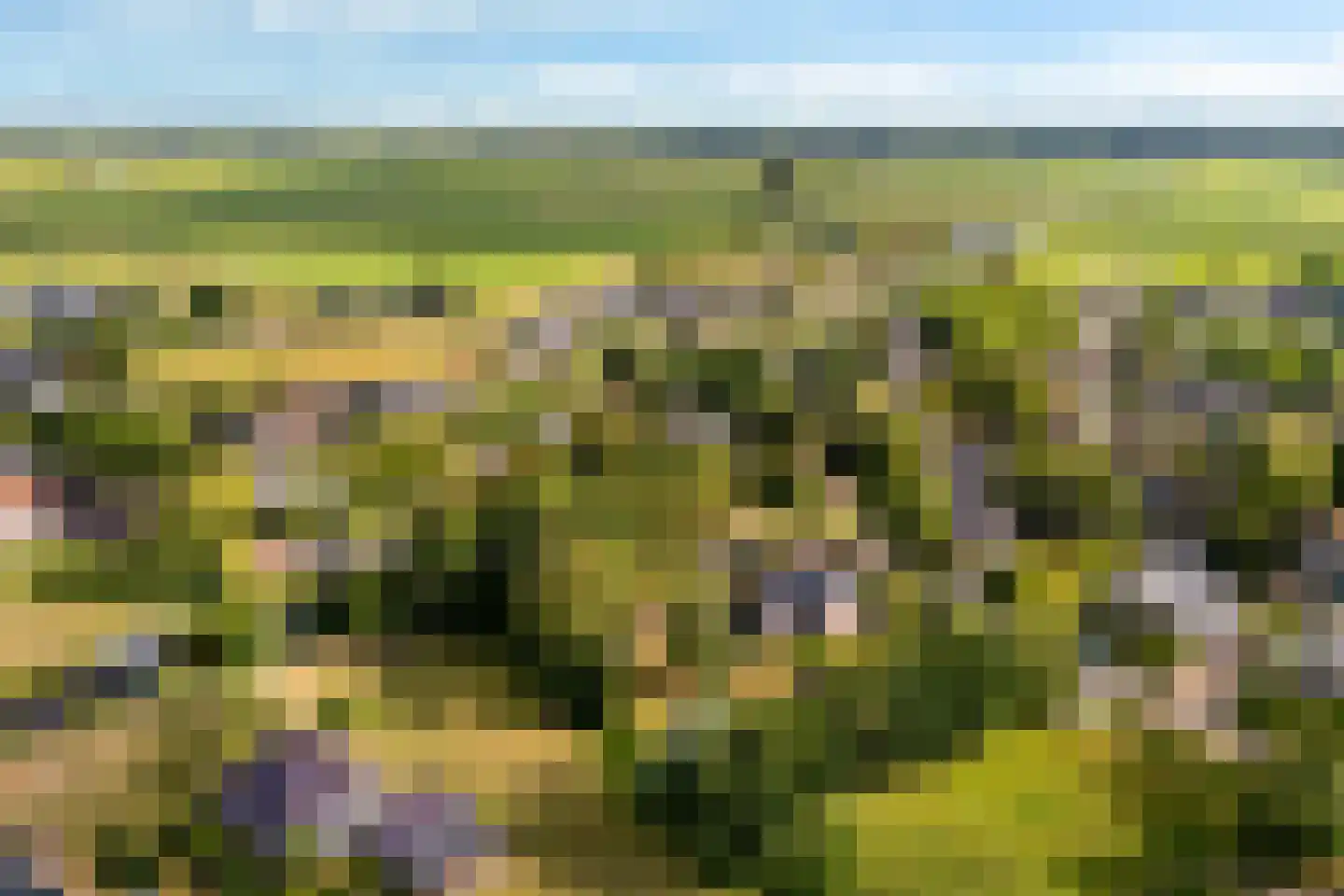Hoogstraten 4 Gerkesklooster thumbnail 65