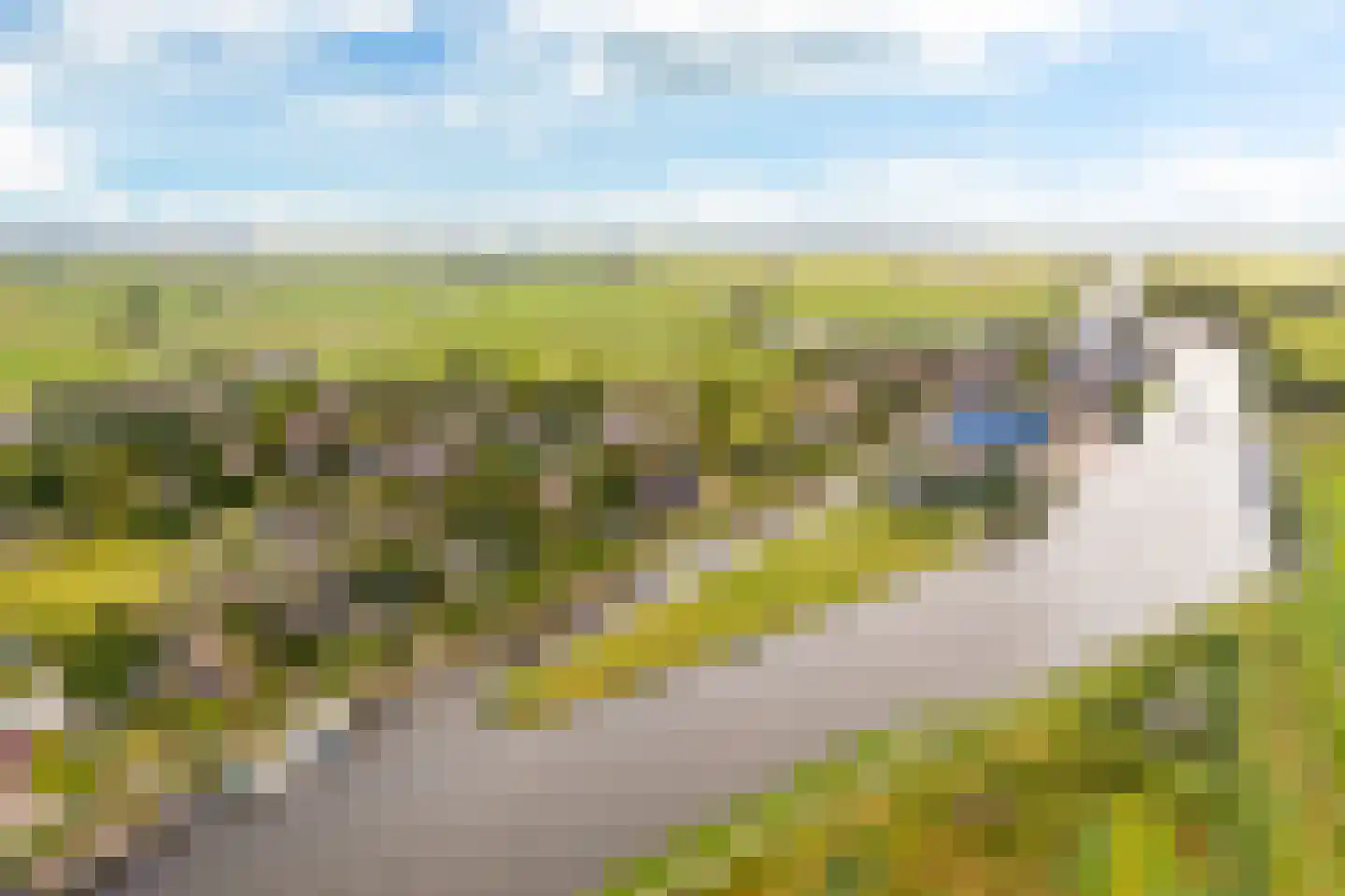Hoogstraten 4 Gerkesklooster thumbnail 69