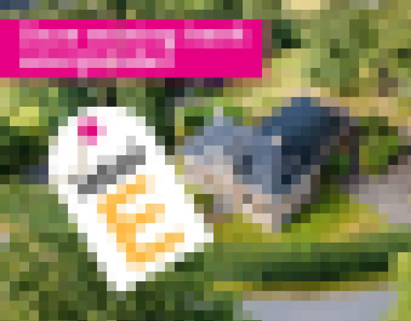 Hoogstraten 4 Gerkesklooster thumbnail 70