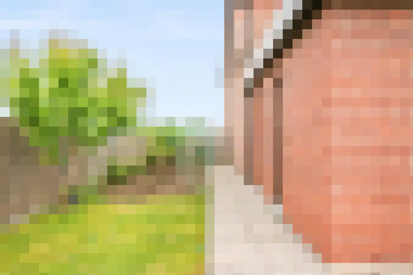 Hoogstratensebaan 13 Castelre thumbnail 23