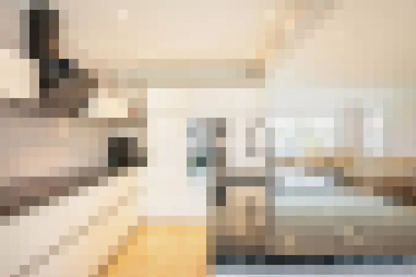 Hoogstratensebaan 13 Castelre thumbnail 4