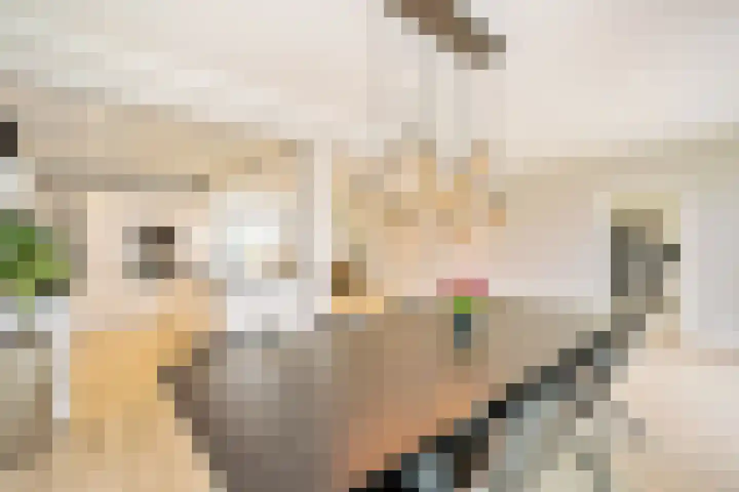 Hoogstratensebaan 13 Castelre thumbnail 6
