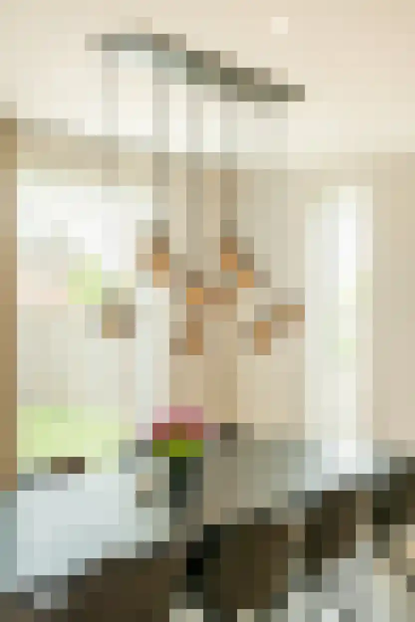 Hoogstratensebaan 13 Castelre thumbnail 9