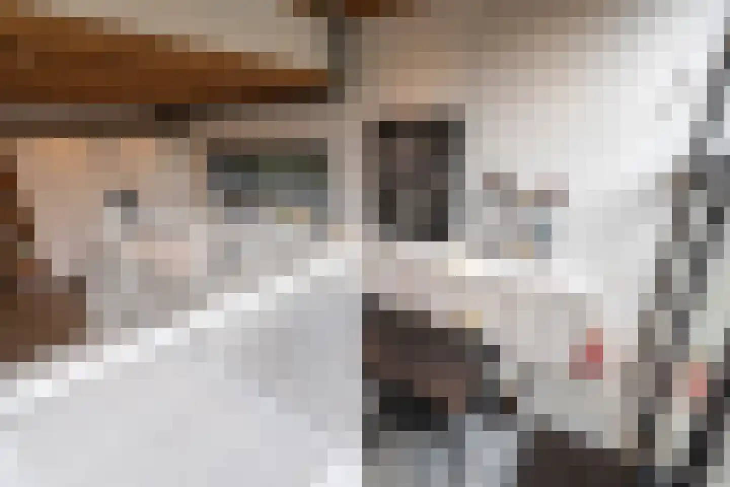 Hoogstratensebaan 79 Castelre thumbnail 10
