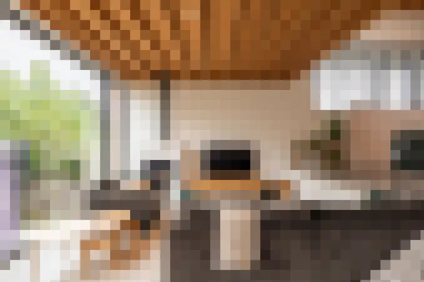Hoogstratensebaan 79 Castelre thumbnail 12