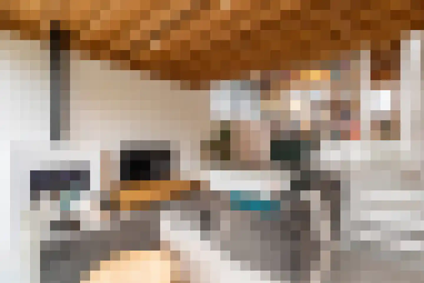 Hoogstratensebaan 79 Castelre thumbnail 13