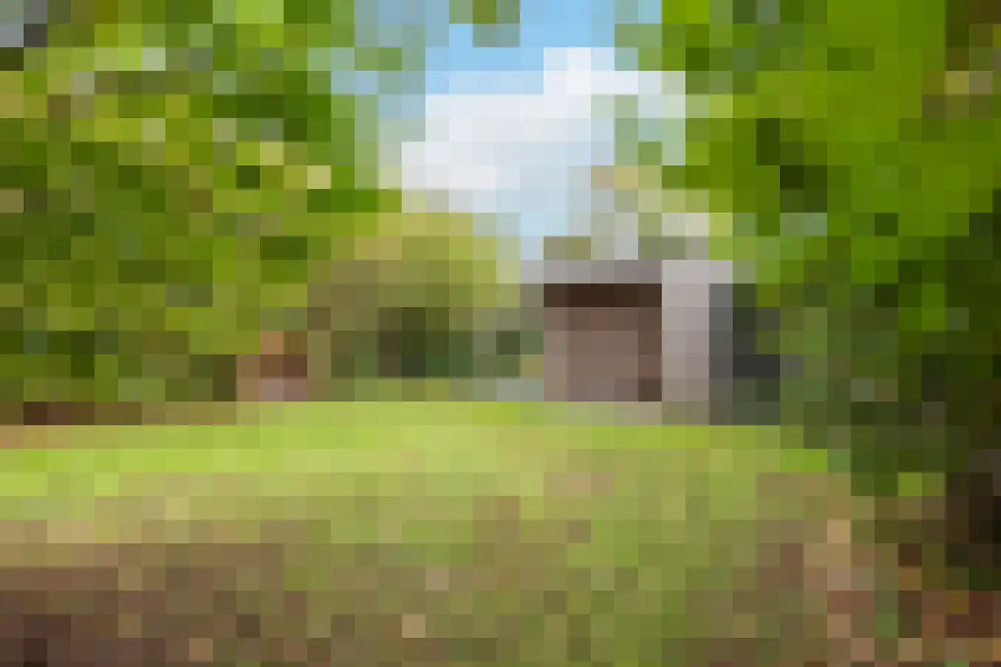 Hoogstratensebaan 79 Castelre thumbnail 33