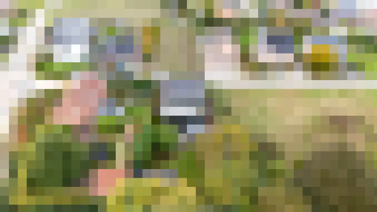 Hoogstratensebaan 79 Castelre thumbnail 42