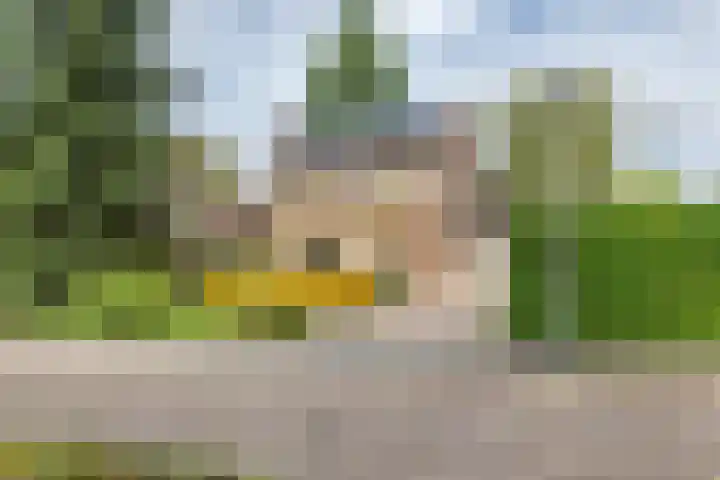 Hoogstuk 11 Druten