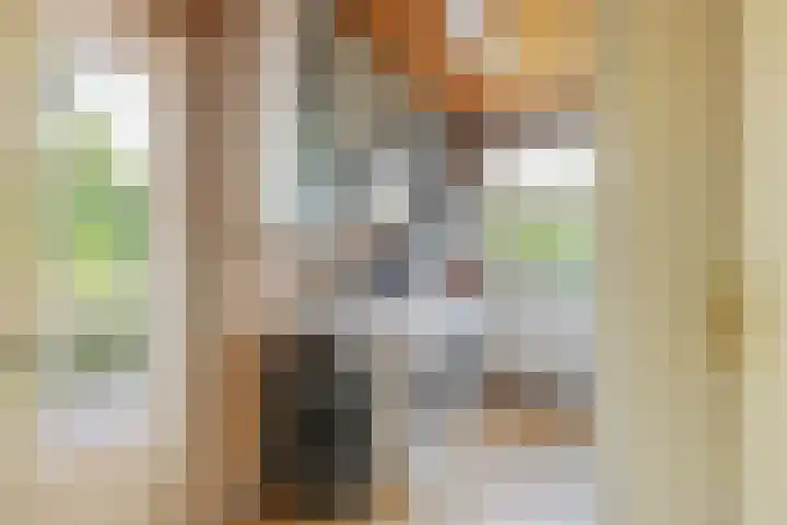 Hoogstuk 11 Druten thumbnail 33