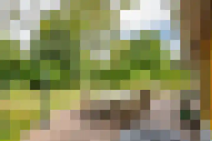 Hoogstuk 11 Druten thumbnail 37