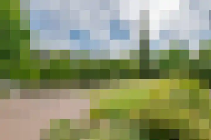 Hoogstuk 11 Druten thumbnail 38