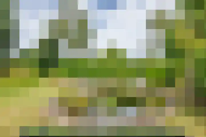 Hoogstuk 11 Druten thumbnail 39