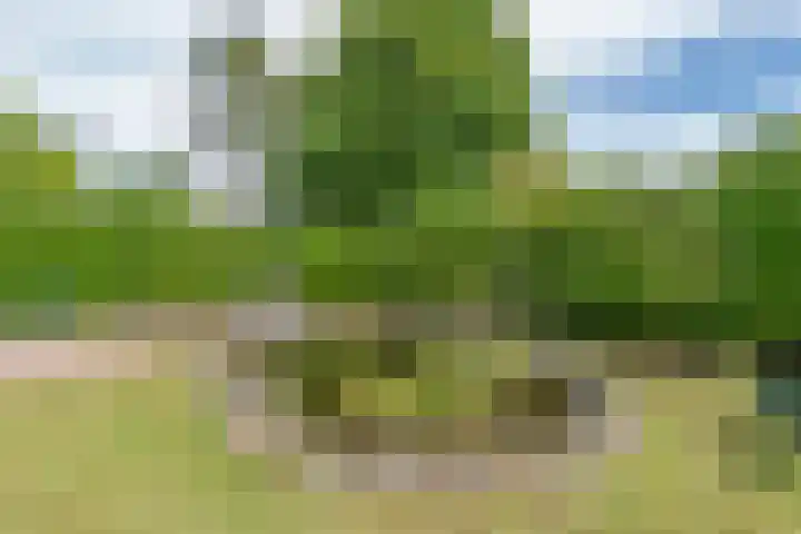 Hoogstuk 11 Druten thumbnail 40