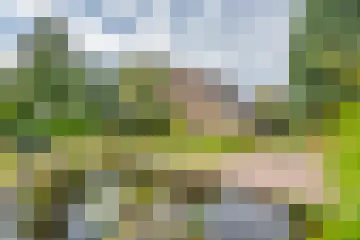 Hoogstuk 11 Druten thumbnail 41
