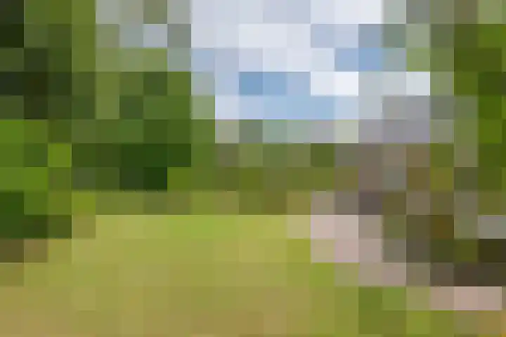 Hoogstuk 11 Druten thumbnail 42