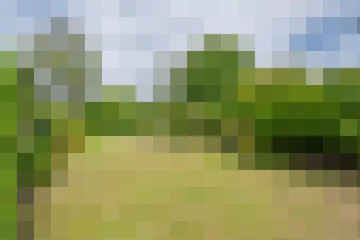 Hoogstuk 11 Druten thumbnail 43