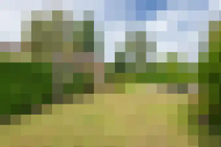 Hoogstuk 11 Druten thumbnail 44