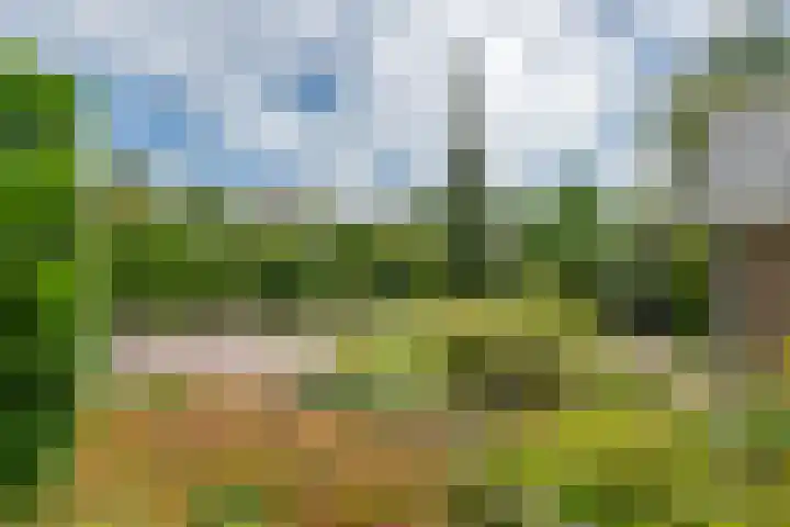 Hoogstuk 11 Druten thumbnail 45