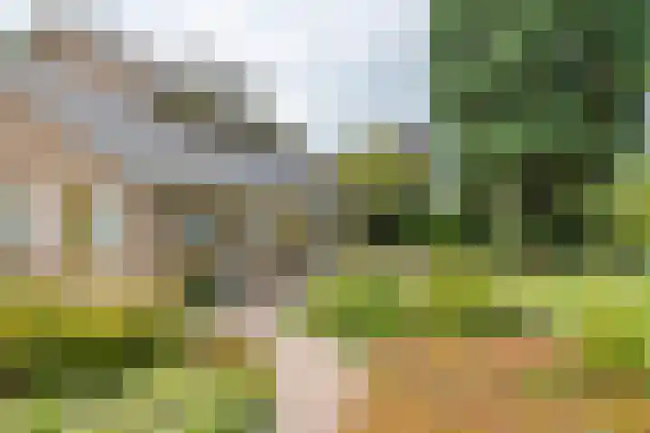 Hoogstuk 11 Druten thumbnail 46