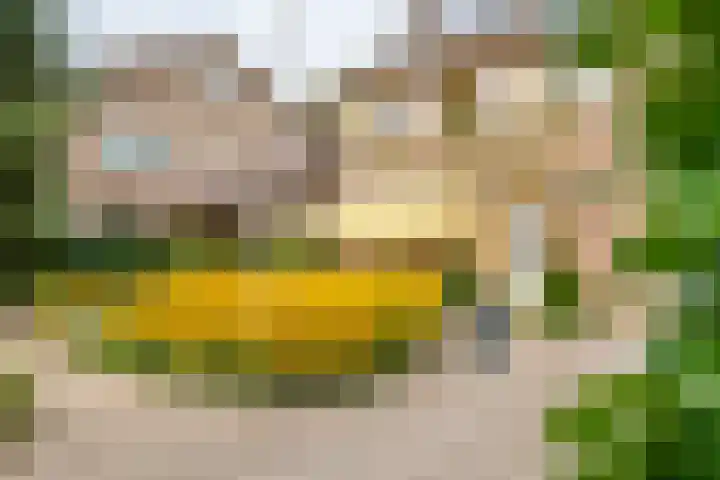 Hoogstuk 11 Druten thumbnail 50