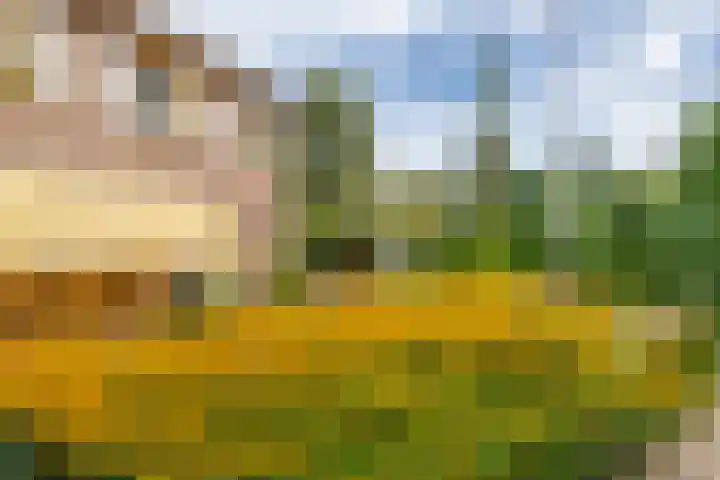 Hoogstuk 11 Druten thumbnail 51
