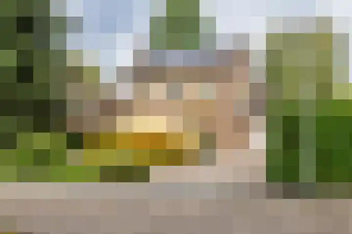 Hoogstuk 11 Druten thumbnail 52