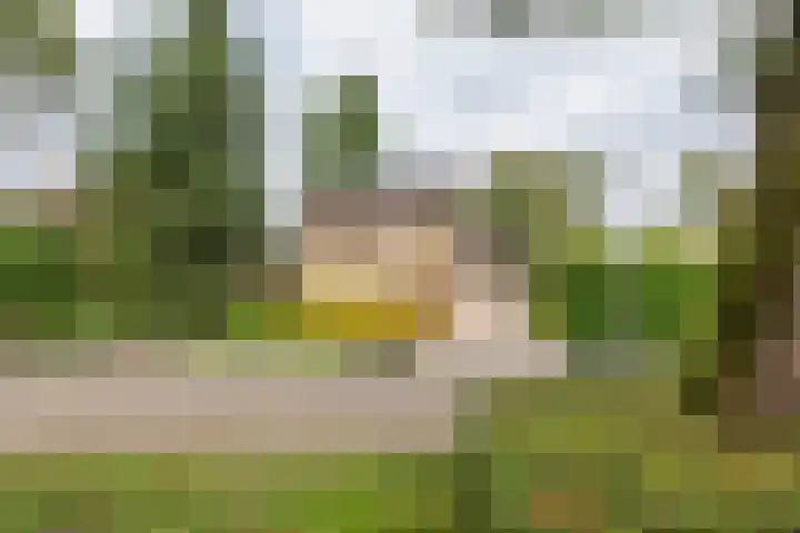 Hoogstuk 11 Druten thumbnail 53