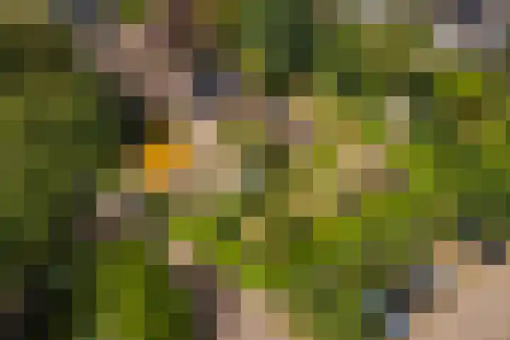 Hoogstuk 11 Druten thumbnail 54