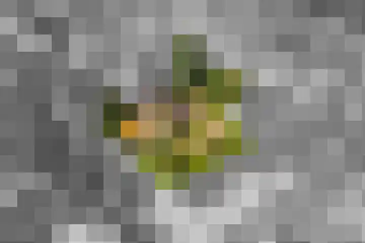 Hoogstuk 11 Druten thumbnail 56