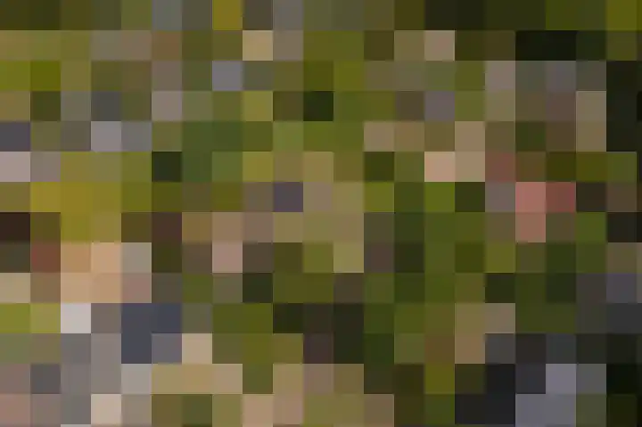 Hoogstuk 11 Druten thumbnail 57