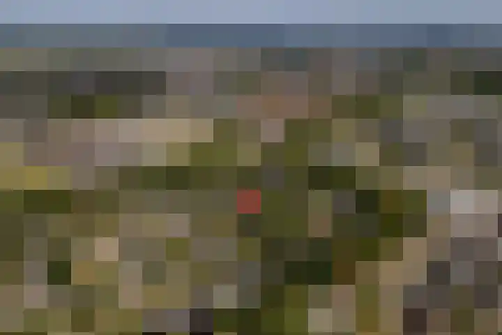 Hoogstuk 11 Druten thumbnail 58