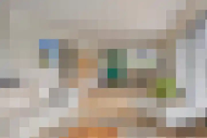 Hoogstuk 34 Druten thumbnail 13