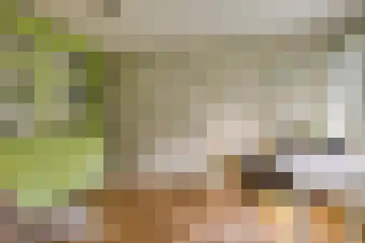 Hoogstuk 34 Druten thumbnail 21