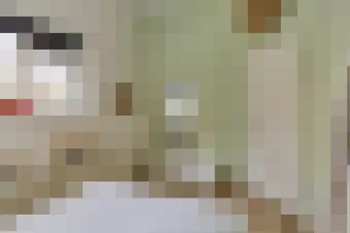 Hoogstuk 34 Druten thumbnail 28