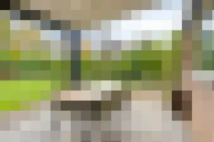 Hoogstuk 34 Druten thumbnail 38