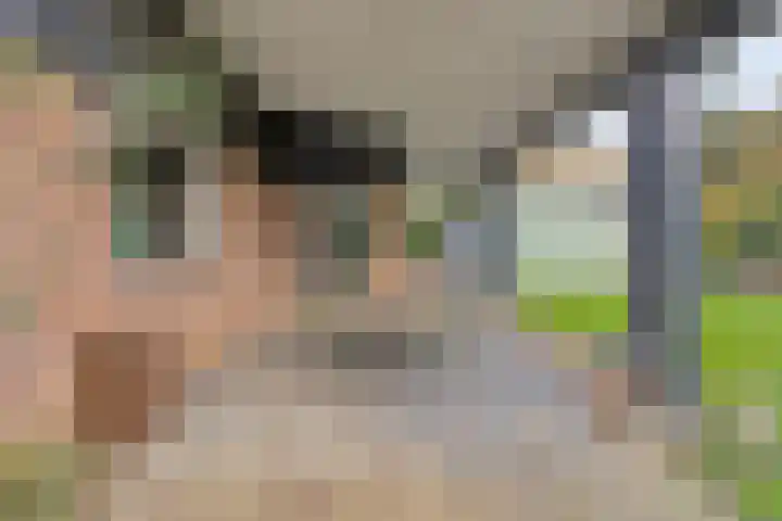 Hoogstuk 34 Druten thumbnail 39