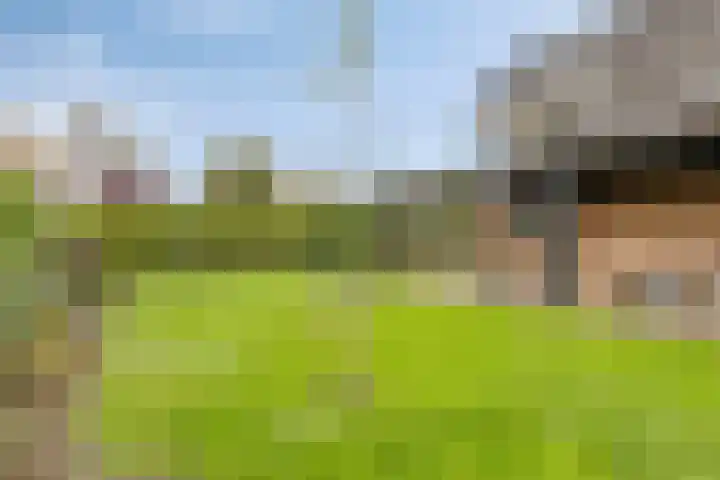 Hoogstuk 34 Druten thumbnail 40
