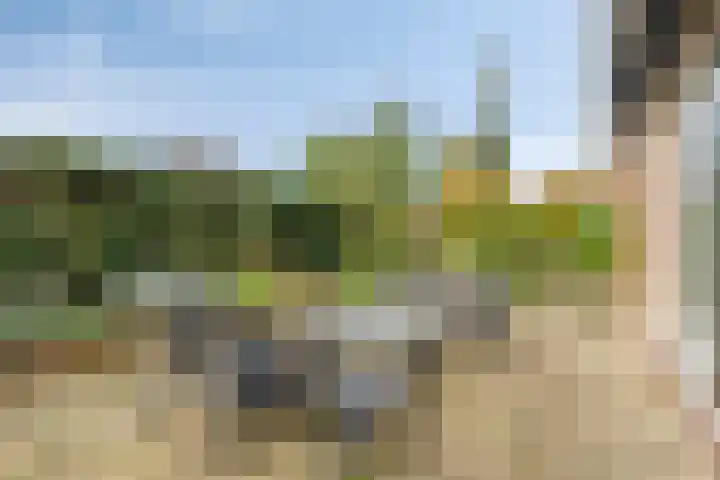 Hoogstuk 34 Druten thumbnail 41