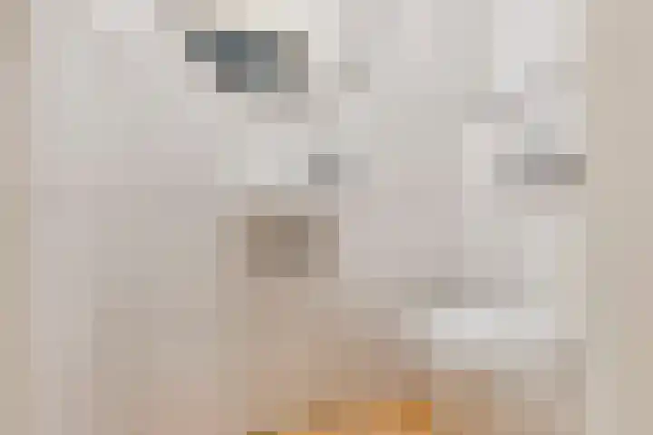 Hoogstuk 34 Druten thumbnail 9