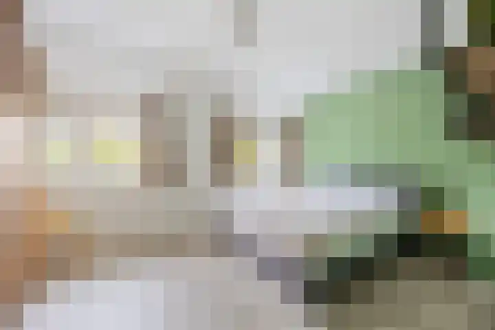 Hoogstuk 78 Druten thumbnail 30