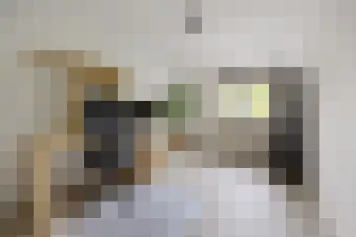 Hoogstuk 78 Druten thumbnail 33