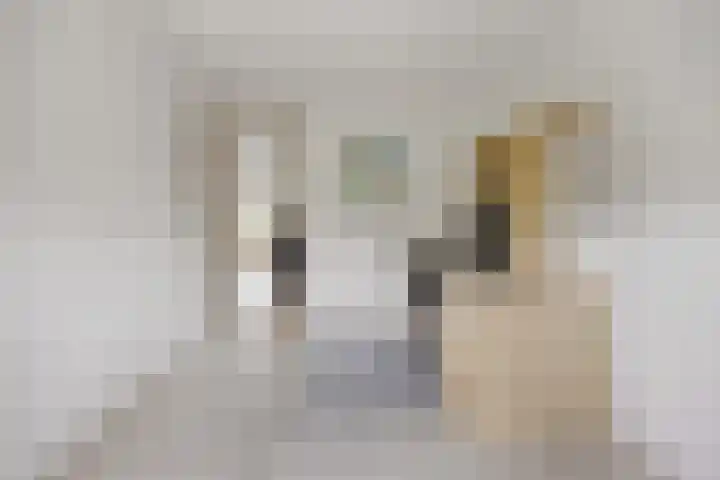Hoogstuk 78 Druten thumbnail 34