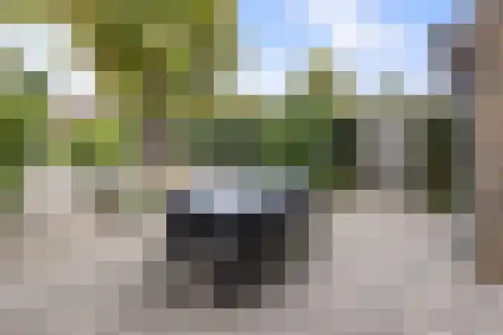 Hoogstuk 78 Druten thumbnail 40