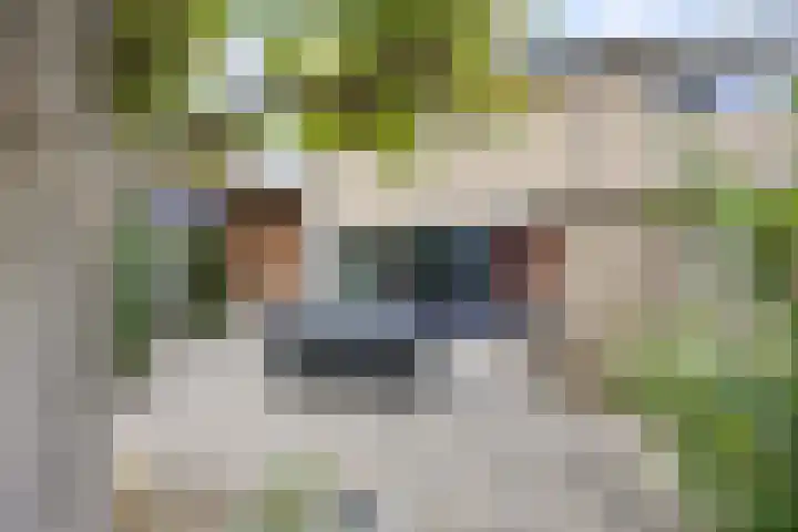 Hoogstuk 78 Druten thumbnail 41