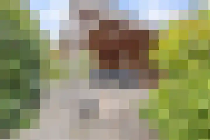 Hoogstuk 78 Druten thumbnail 43