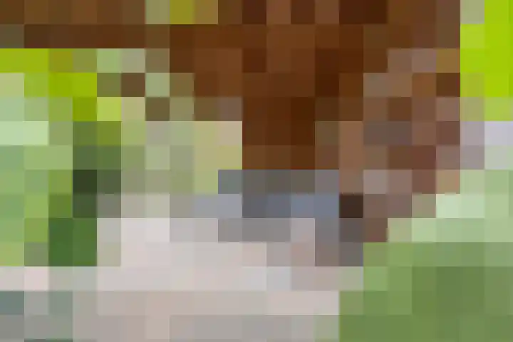 Hoogstuk 78 Druten thumbnail 44
