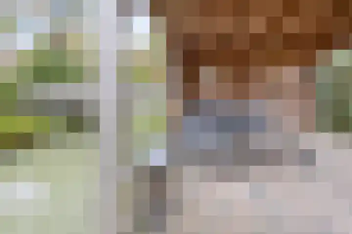 Hoogstuk 78 Druten thumbnail 45