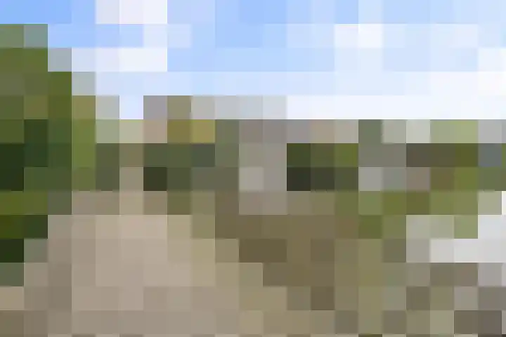 Hoogstuk 78 Druten thumbnail 48