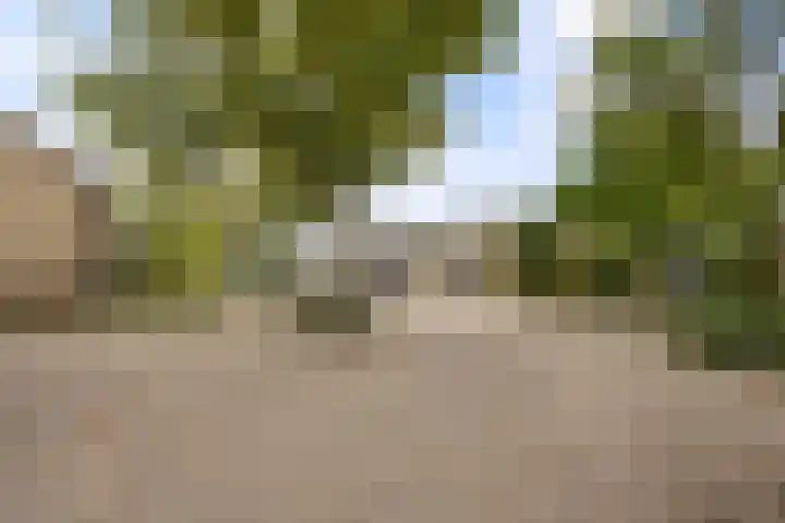 Hoogstuk 78 Druten thumbnail 53